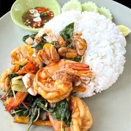 เรือนใต้