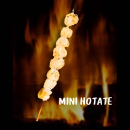 2029. Mini Hotate