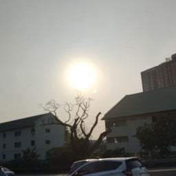 อาหารป่า ตามสั่ง อีสาน เจ๊นัท ซอยแพหมอ