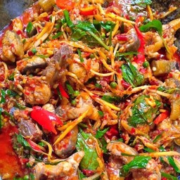 ผัดเผ็ดปลาไหล