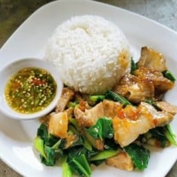 ผัดคะน้าราดข้าว
