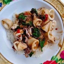 กระเพรา  2 ต้น