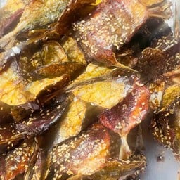 ปลาหวานงา