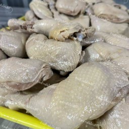 ข้าวมันไก่เฮียเกา/ชานม