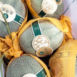 แตงทิเบต แตงฮามิกัว