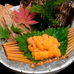 ไข่หอยเม่น