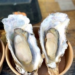 Oyster Crackers Honke Matsushima