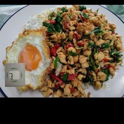 กระเพรา family