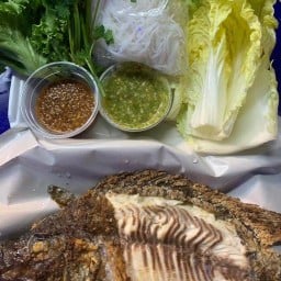 เมี่ยงปลาเผ่า กุ้งย่าง หมึกย่าง หอยเเครง หอยเเมลงภู่