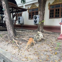 วัดไผ่เหลือง