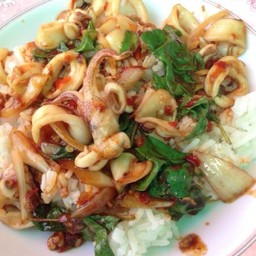 ข้าวราดกระเพราปลาหมึก #70