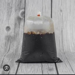 โอเลี้ยง