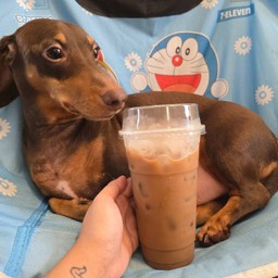 กาแฟโบราณ