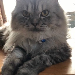 ติ๊บพนักงาน ฟอซ่า ครับผม