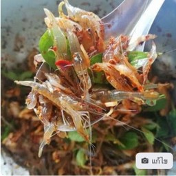 Ki08.36 กุ้งเต้น โคโยตี้ 150 กรัม  /แยกเครื่องให้จ้า