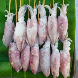 หมึกย่างน้องกัปตัน