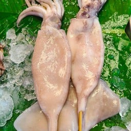 น้องกัปตัน หมึกซิ่ง อู่ทอง