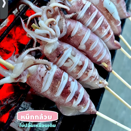 เข็ดฟันทะเลย่าง