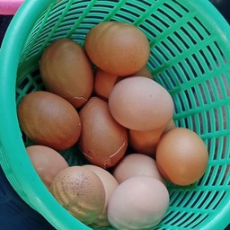 ไข่ต้ม3ลูก