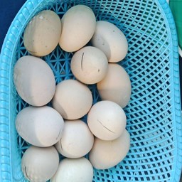 ไข่ข้าว3ลูก