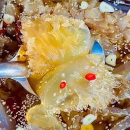 แมงกระพรุนปีกนางฟ้าดองน้ำปลากวน