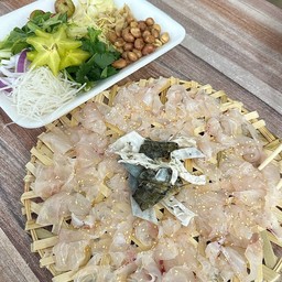 鱼生  活石斑鱼