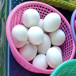 ไข่เค็ม