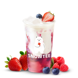 SNOWTEECMU(หลังมช.)