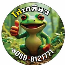 กบโก๋เกลียว