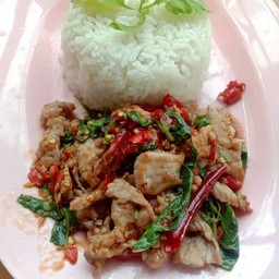 ข้าวกระเพราหมูชิ้น