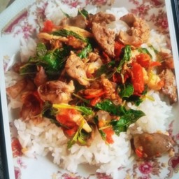 กะเพราเครื่องไก่ ธรรมดา