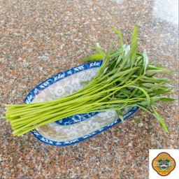 ผักบุ้ง