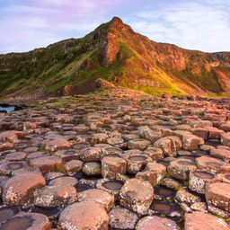 ชาลำดี By แม่ละอ่อน เจียงฮาย ชาลำดี By แม่ละอ่อน เจียงฮาย