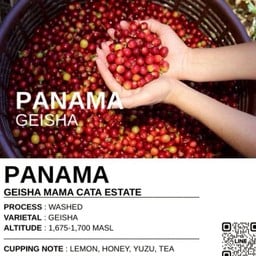 PANAMA GEISHA