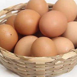 ชาวมัจฉะ