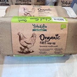 ไข่ไก่ไซส์ M 10 ฟอง