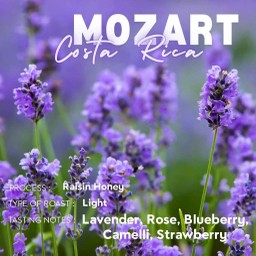 Costa Rica - Mozart