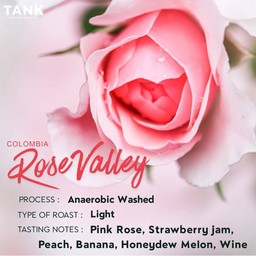 Colombia - Rose Valley