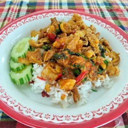 ผัดเผ็ดหมูป่า ธรรมดา