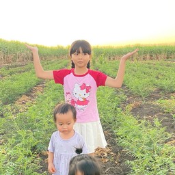 แต้มสุข Life in town