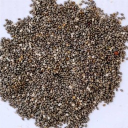 Chia Seeds (7g.)