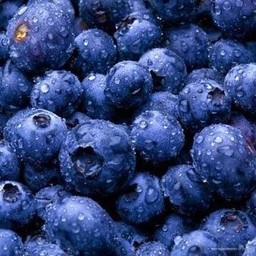 Blueberries (15g.)