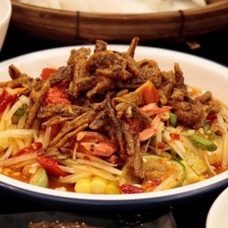 MENU_3589529MT_1766118318