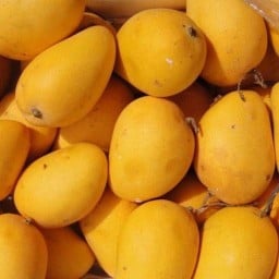 Mango (30g.)