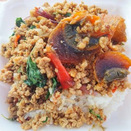 กะเพราท้ายแถว