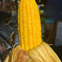 ข้าวโพดสวิสปิ้ง(หวาน)