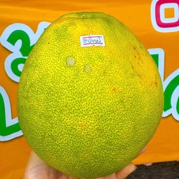 ส้มโอขาวใหญ่ 1 ลูก