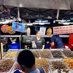 นายอ้วนแมลงทอด