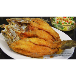 ปลากะพง