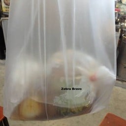 กระเพาะปลา ก๋วยเตี๋ยวหลอด ตลาดพุงกาง